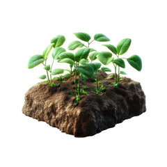 piece of land with soybean plantation on white background