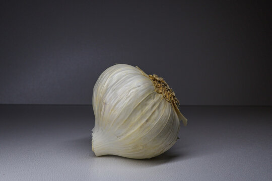 A head of garlic lies on a light surface, close-up