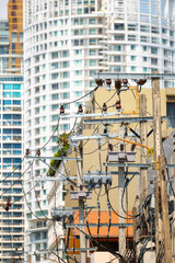 Urban electrical infrastructure amidst high-rise buildings in Thailand