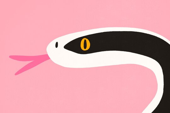 Minimalist Snake Illustration with Pink Background