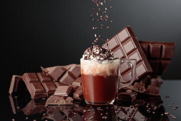 Hot chocolate with whipped cream and sprinkled with chocolate crumb.