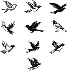 set of birds vector illustration