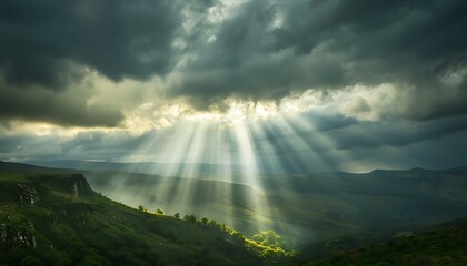 Beautiful summer landscape in the mountains. Ukraine, Carpathians