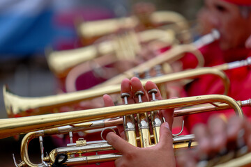 Fototapeta premium playing the trumpet