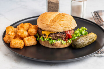 hamburger  with tater tots  and pickle