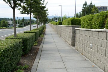Obraz premium Wide shot of a well-maintained sidewalk lined with concrete block walls and a neat hedge on either side of a modern street, garden path, building facades, sidewalk