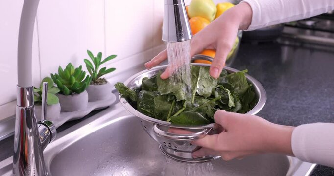 Woman hands washing fresh baby spinach in the kitchen. Eating healthy raw organic food, vitamins, washing vegetables from pesticides concept. Slow motion 4k