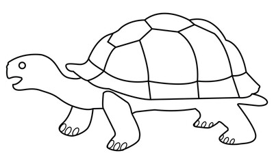  Tortoise outline vector illustration art book design 