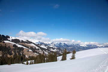 Winter hiking in Sparenmoos,Switzerland