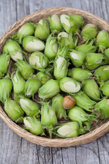 Hazelnut harvest - fresh, green hazelnuts on a gray wooden board background.