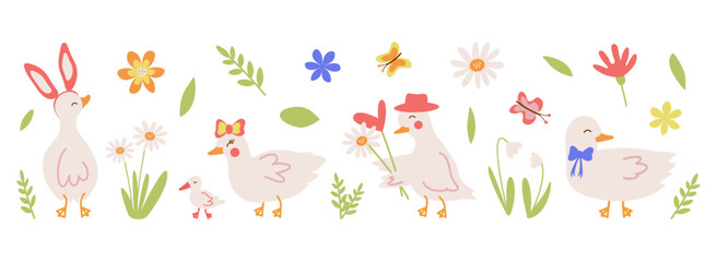 A set of flat illustrations of geese, ducks with flowers and Easter holiday symbols. Daisies, hearts, cute characters and rabbit ears