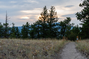 green tranquil forest hiking pathway deciduous trees recreational landscape Giant's Head Mountain Park, British Columbia, Canada