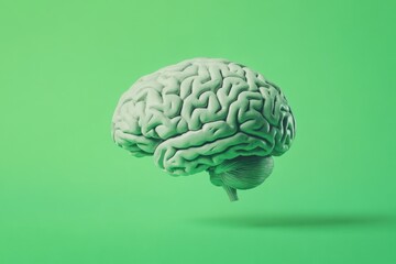 A green model of a human brain floating in space