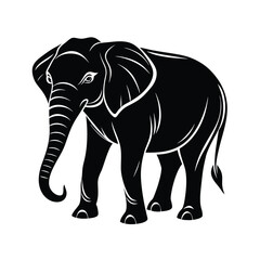 elephant  illustration silhotted on white background.