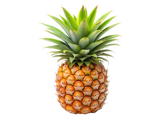 pineapple on white background