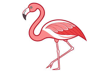 Obraz premium American Flamingo Vector Art Illustration