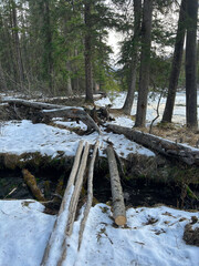 Rustic Log Bridge Over a Snowy Forest Stream