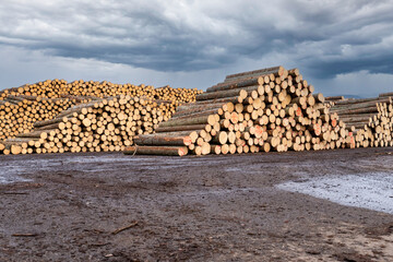 Large Stack of Cut Logs in Timber Yard Under Cloudy Sky. Deforestation and Logging Industry:...