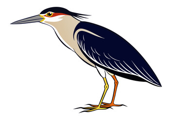 Fototapeta premium Stunning Black-crowned Night Heron Vector Design for Nature Lovers