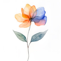 Orange flower watercolor clipart isolated
