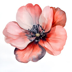 Red flower watercolor clipart isolated