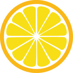 Colorful citrus slice