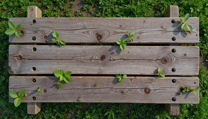 Obraz premium Old picnic table with growing plants, nature's resilience