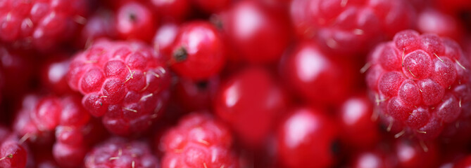 Selective soft focus smoke blur raspberry. Natural bright red color horizontal long background. © Liliia
