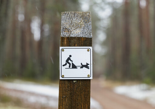 Trail sign indicating dog sledding or skijoring allowed