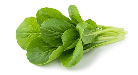 Fototapeta premium Fresh vibrant green leafy vegetable bunch with crisp natural texture and subtle shadows, concept for healthy eating promotion, organic food packaging and culinary recipe illustration