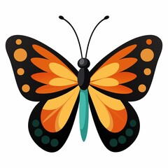 butterfly on white background