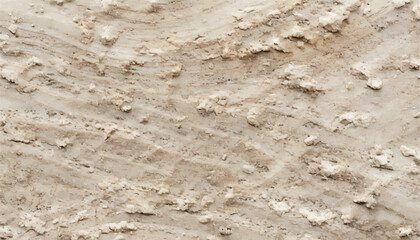 Background of white weathered wood texture. Old white wood texture. Rough white wood texture. 