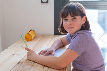 Young girl doing homework at home