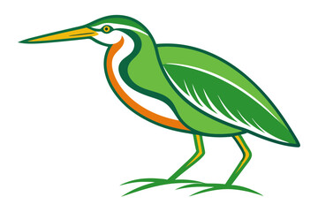 Obraz premium Beautiful Green Heron Vector Art – Perfect for Digital Design