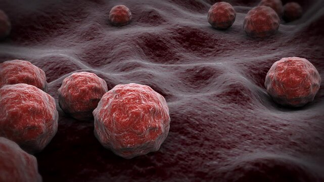 Biomedical animation of chlamydia on surface.
