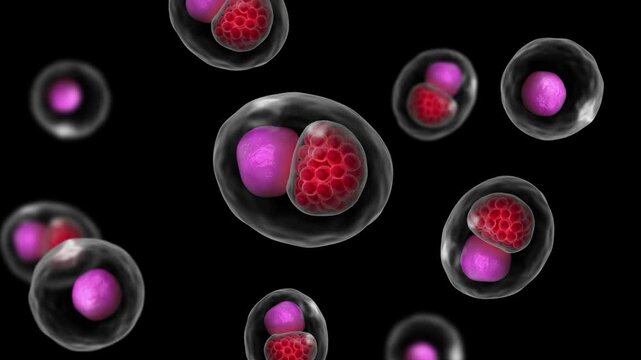 Biomedical animation of a group of Chlamydia psittaci.