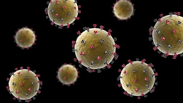 Biomedical animation of the infectious disease Eastern Equine Encephalitis.