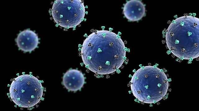 Biomedical animation of the infectious disease Eastern Equine Encephalitis.