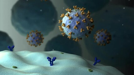 Biomedical animation of the Lassa virus attaching to a cell.
