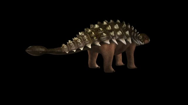 Ankylosaurus dinosaur rotating against a black background.