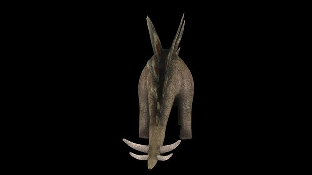 Full body animation of a Stegosaurus dinosaur.