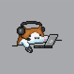 Cat working or playing on the computer, pixel art meme