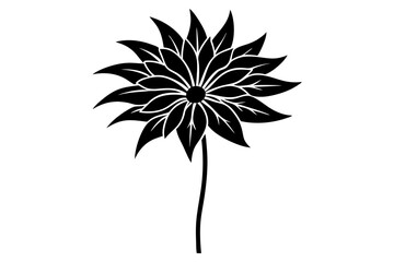 Ligularia Flower Vector Art. Elegant Botanical Illustration