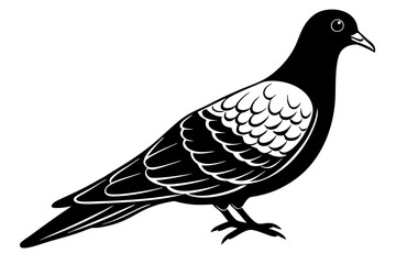 Fototapeta premium Elegant Mourning Dove Vector Art. A Symbol of Peace