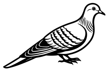 Fototapeta premium Elegant Mourning Dove Vector Art. A Symbol of Peace