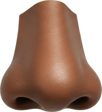 	
human nose and nostril, face part, brown black skin and anatomy, isolated transparent png	
