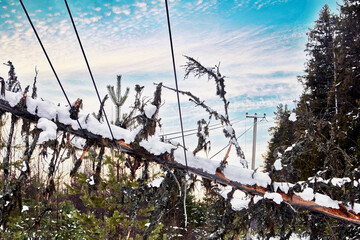 Tree failure impacts overhead power lines, demonstrating risk to rural electrical distribution from...