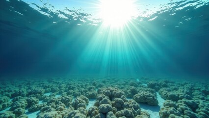 Fototapeta premium Sunlit underwater coral reef showing signs of bleaching and environmental damage 