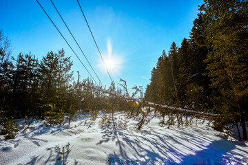 Power outage likely due to tree impeding high voltage wires electrical hazard present rural...