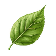 Obraz premium A Vibrant Green Leaf Isolated on Black Background Nature Photography Botanical Illustration